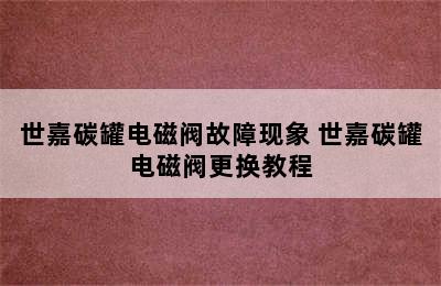 世嘉碳罐电磁阀故障现象 世嘉碳罐电磁阀更换教程